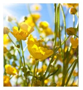 Флизелинов фототапет жълти цветя 225 x 250 см