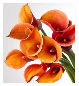 Флизелинов фототапет кала 225 x 250 см