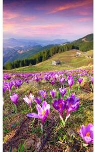 Флизелинов фототапет минзухари през пролетта 150 x 250 см