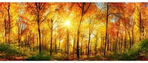 Панорамни флизелинов фототапет слънчева гора 375 x 150 см
