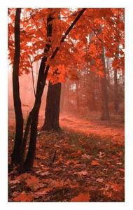 Флизелинов фототапет гора в мъгла 150 x 250 см