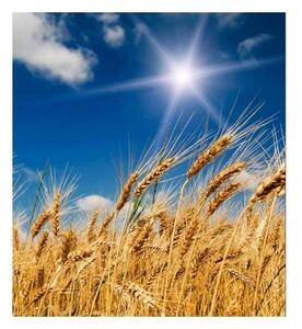 Флизелинов фототапет пшенично поле 225 x 250 см