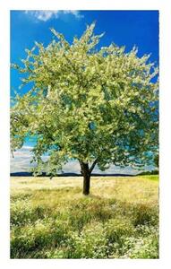 Флизелинов фототапет дърво на поляната 150 x 250 см