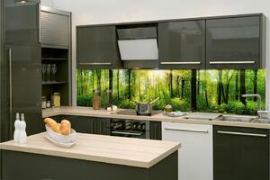 Фототапет за кухня - буйна гора 260 x 60 см