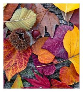 Флизелинов фототапет есенни листа 225 x 250 см