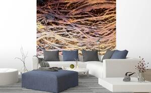 Флизелинов фототапет абстрактно сено i 225 x 250 см