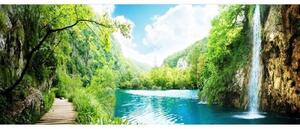 Панорамни флизелинов фототапет релакс в гората 375 x 150 см