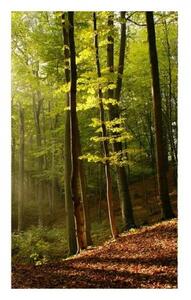 Флизелинов фототапет гора 150 x 250 см