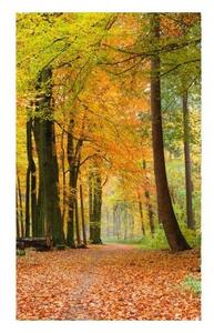 Флизелинов фототапет есенна гора 150 x 250 см