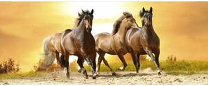 Панорамни флизелинов фототапет коне при залез слънце 375 x 150 см