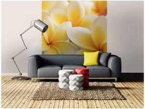 Флизелинов фототапет плумерия 225 x 250 см