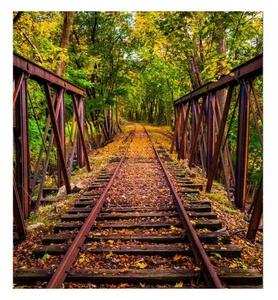 Флизелинов фототапет железопътна линия в гората 225 x 250 см