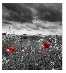 Флизелинов фототапет черно-бели макове 225 x 250 см
