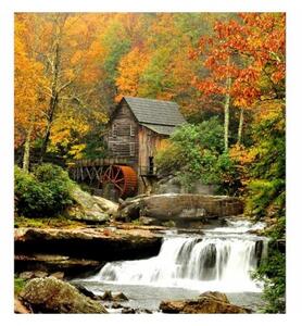 Флизелинов фототапет мелница в гората 225 x 250 см