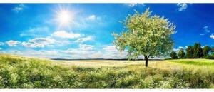 Панорамни флизелинов фототапет дърво на поляната 375 x 150 см