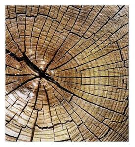 Флизелинов фототапет годишни пръстени 225 x 250 см