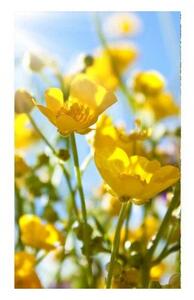 Флизелинов фототапет жълти цветя 150 x 250 см