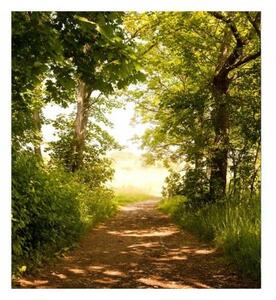Флизелинов фототапет горска пътека 225 x 250 см