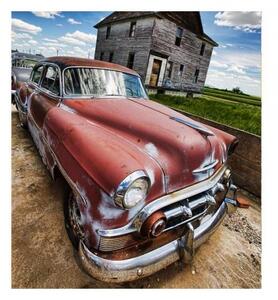 Флизелинов фототапет ветеран 225 x 250 см