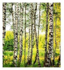 Флизелинов фототапет брезова гора 225 x 250 см