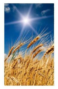 Флизелинов фототапет пшенично поле 150 x 250 см