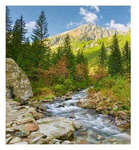 Флизелинов фототапет долина 225 x 250 см