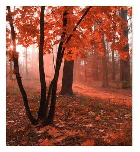 Флизелинов фототапет гора в мъгла 225 x 250 см