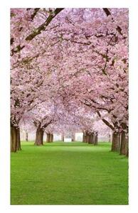 Флизелинов фототапет черешова градина 150 x 250 см