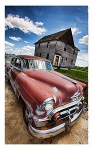 Флизелинов фототапет ветеран 150 x 250 см