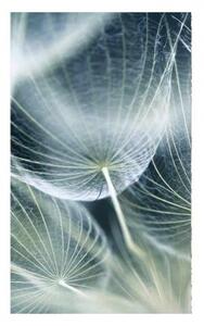 Флизелинов фототапет глухарче макро 150 x 250 см