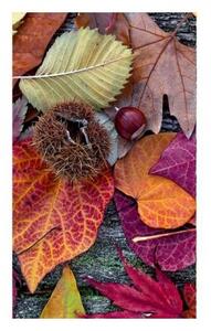 Флизелинов фототапет есенни листа 150 x 250 см