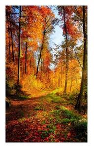Флизелинов фототапет разходка в гората 150 x 250 см