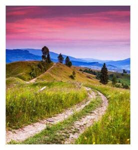 Флизелинов фототапет природа с червеи 225 x 250 см
