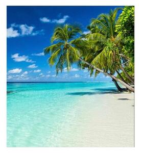 Флизелинов фототапет тропически рай 225 x 250 см