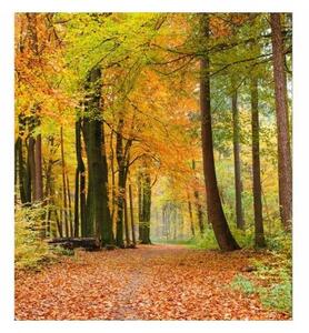 Флизелинов фототапет есенна гора 225 x 250 см