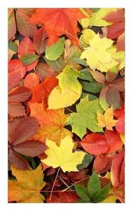 Флизелинов фототапет многоцветни листа 150 x 250 см