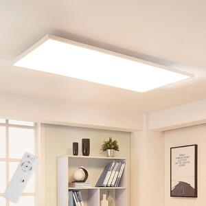 Arcchio LED панел Arya, с възможност за димиране, 119 cm x 59 cm, метал, Затъмняване, Бял, кабинет / офис, Пластмаса, Модерен