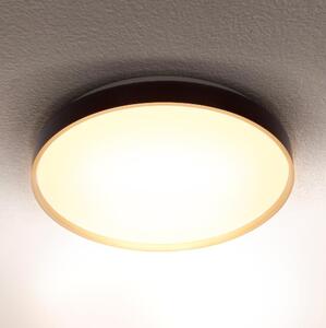 Brilagi - LED таванно осветително тяло CALA LED/24W/230V