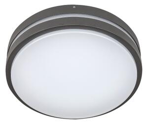 Rabalux 8847 - LED Екстериорна Стенна лампа HAMBURG LED/10W/230V IP44