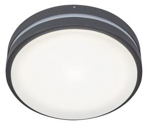 Rabalux 8847 - LED Екстериорна Стенна лампа HAMBURG LED/10W/230V IP44