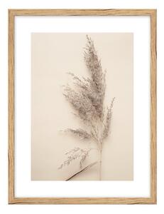 Картина 30x40 cm Grass – knor