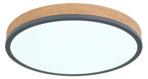 Globo 416080WD2R-CCT-LED Димируемо таванно осветително тяло DORO 24W/230V 3000-6500K Ø 45 см