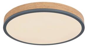 Globo 416080WD2R-CCT-LED Димируемо таванно осветително тяло DORO 24W/230V 3000-6500K Ø 45 см