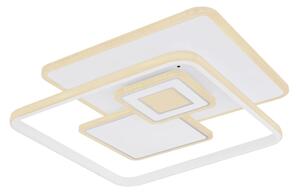 Globo 48441-50SH - LED димируемо таванно осветително тяло RODERICK 50W/230V 50,3x50,3 cm+ДУ