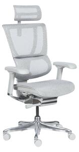 ЕРГОНОМИЧЕН СТОЛ ERGOHUMAN IOO ELITE 2 - СИВ