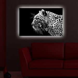 Картина с LED осветление 4570DACT Многоцветна 45x70 см