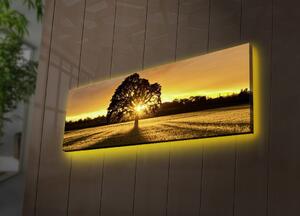 Картина с LED осветление 3090DACT Многоцветна 30x90x3 см