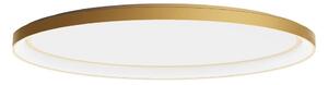 Redo 01-3810 - LED димируемо таванно осветително тяло NOBU LED/80W/230V златно
