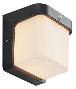 Lindby - Adenike LED Външна Cтенна Лампа w/Sensor Dark Grey Lindby