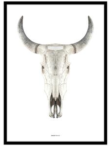 Постер с включена рамка 50x70 cm Cow Skull – Malerifabrikken